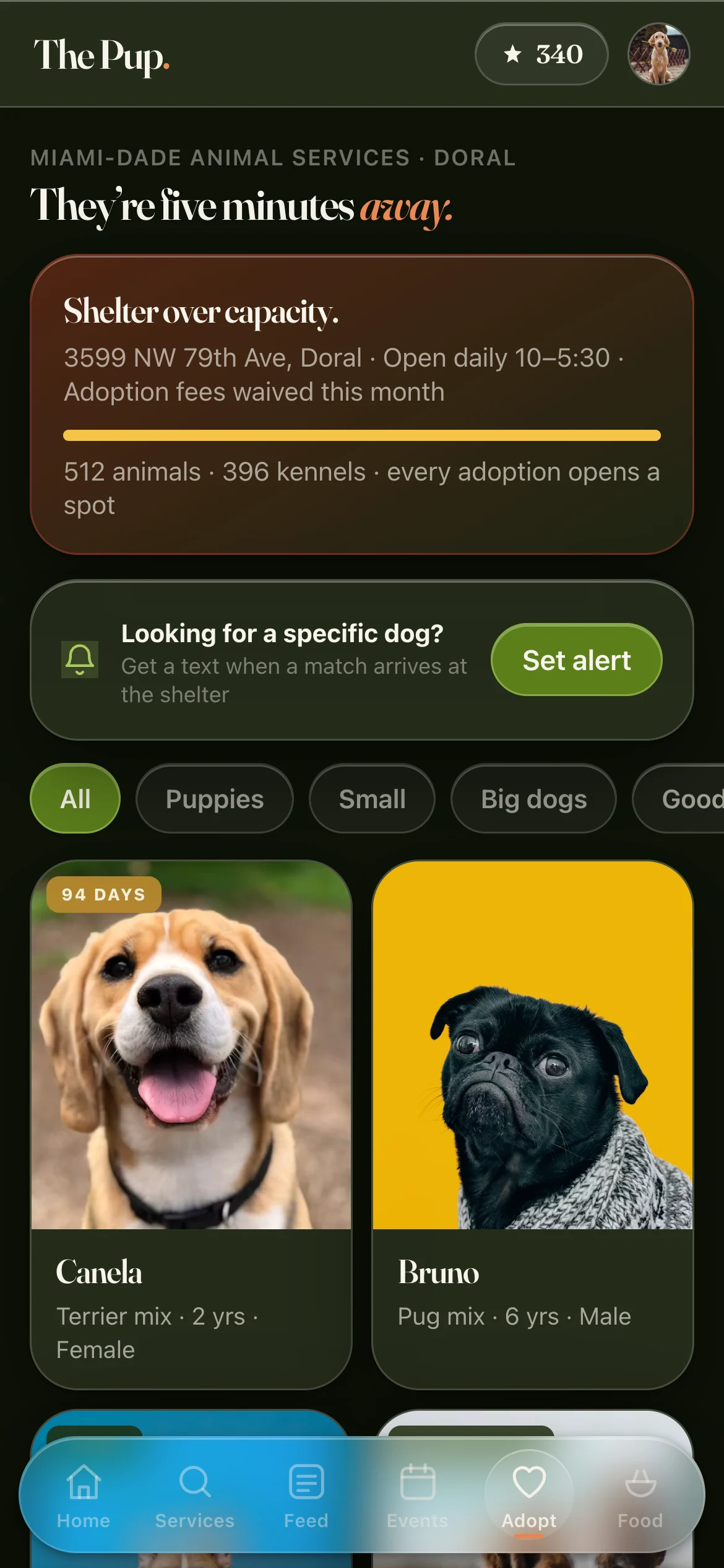Shelter dogs matched to what you're looking for
